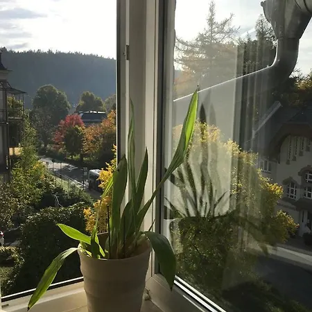 In باد إلستر